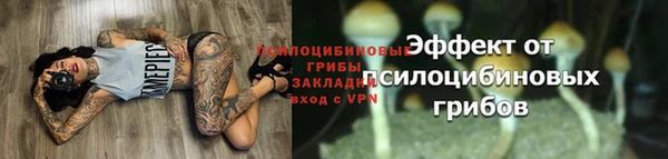 бошки Нефтегорск
