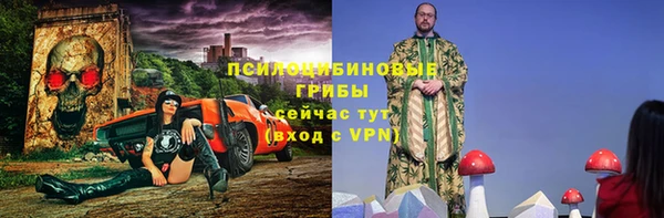 дживик Вяземский